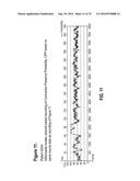 Method and System for Diagnosing Uterine Contraction Levels Using Image     Analysis diagram and image