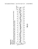 Method and System for Diagnosing Uterine Contraction Levels Using Image     Analysis diagram and image