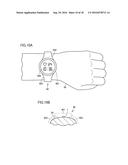 Living Body Information Sensor diagram and image