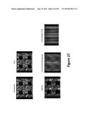 PULSE COMPRESSION SYSTEMS AND METHODS diagram and image