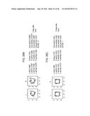 METHODS AND KITS FOR ASSESSING NEUROLOGICAL AND OPHTHALMIC FUNCTION AND     LOCALIZING NEUROLOGICAL LESIONS diagram and image