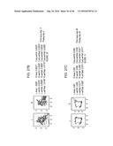 METHODS AND KITS FOR ASSESSING NEUROLOGICAL AND OPHTHALMIC FUNCTION AND     LOCALIZING NEUROLOGICAL LESIONS diagram and image