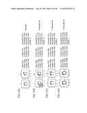 METHODS AND KITS FOR ASSESSING NEUROLOGICAL AND OPHTHALMIC FUNCTION AND     LOCALIZING NEUROLOGICAL LESIONS diagram and image