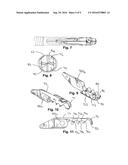 ENDOSCOPIC GRASPING DEVICE diagram and image