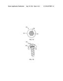 DRUG ELUTING SURGICAL SCREW diagram and image