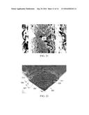 SYSTEM AND METHOD FOR DETERMINING DIRECT DAMAGE TOLERANCE ALLOWABLES diagram and image