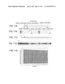 Microchip and Manufacturing Method Therefor, and Multi-Channel     Fluorescence Detection Device diagram and image