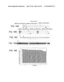 Microchip and Manufacturing Method Therefor, and Multi-Channel     Fluorescence Detection Device diagram and image