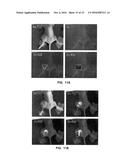 System and Method for Multi-Modal in Vivo Imaging diagram and image