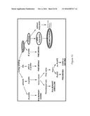 SYSTEM AND METHOD FOR LUNG ASSESSMENT diagram and image