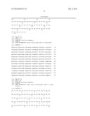 CLONING, EXPRESSION & PURIFICATION METHOD FOR THE PREPARATION OF     RANIBIZUMAB diagram and image