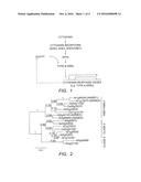 COMPOSITIONS AND METHOD FOR MODULATING THE SENSITIVITY OF PLANTS TO     CYTOKININ diagram and image