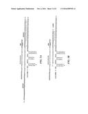 COMPOSITIONS AND METHODS RELATED TO A TYPE-II CRISPR-CAS SYSTEM IN     LACTOBACILLUS BUCHNERI diagram and image