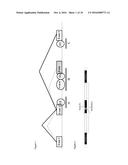 DETECTION AND MONITORING OF RESISTANCE TO AN IMIDAZOTHIAZOLE     ANTI-HELMINTHIC IN NEMATODES diagram and image