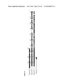 DETECTION AND MONITORING OF RESISTANCE TO AN IMIDAZOTHIAZOLE     ANTI-HELMINTHIC IN NEMATODES diagram and image