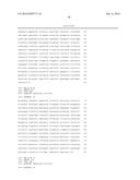 DETECTION AND MONITORING OF RESISTANCE TO AN IMIDAZOTHIAZOLE     ANTI-HELMINTHIC IN NEMATODES diagram and image