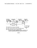 METHOD AND SYSTEM FOR EMBEDDING INFORMATION IN COMUPTER DATA diagram and image