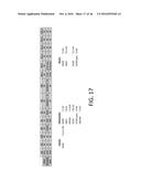 Method And Apparatus For Inhibiting The Programming Of Unselected Bitlines     In A Flash Memory System diagram and image