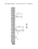 Method And Apparatus For Inhibiting The Programming Of Unselected Bitlines     In A Flash Memory System diagram and image