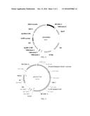 METHODS OF IMPROVING THE YIELD OF 2,4-D RESISTANT CROP PLANTS diagram and image