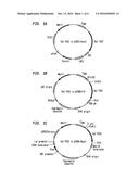 P2X3 AND/OR P2X2/3 COMPOUNDS AND METHODS diagram and image