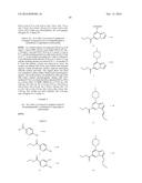 P2X3 AND/OR P2X2/3 COMPOUNDS AND METHODS diagram and image