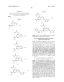 P2X3 AND/OR P2X2/3 COMPOUNDS AND METHODS diagram and image