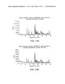 SOLID FORMS COMPRISING 4-AMINO-I-B-D-RIBOFURANOSYL-1,3,5-TRIAZIN-2 (1H)     -ONE AND A COFORMER, COMPOSITIONS AND METHODS OF USE THEREOF diagram and image