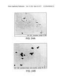 SOLID FORMS COMPRISING 4-AMINO-I-B-D-RIBOFURANOSYL-1,3,5-TRIAZIN-2 (1H)     -ONE AND A COFORMER, COMPOSITIONS AND METHODS OF USE THEREOF diagram and image