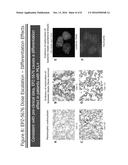 METHODS FOR TREATING CANCER diagram and image