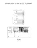 LACTOBACILLUS PLANTARUM INDUCIA DSM 21379 AS ENHANCER OF CELLULAR     IMMUNITY, HYPOCHOLESTEROLEMIC AND ANTI-OXIDATIVE AGENT AND ANTIMICROBIAL     AGENT AGAINST CLOSTRIDIUM DIFFICILE diagram and image