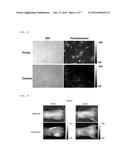 NEAR-INFRARED QUENCHING GROUP diagram and image