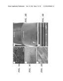 HIGH STRENGTH CHITIN COMPOSITE MATERIAL AND METHOD OF MAKING diagram and image