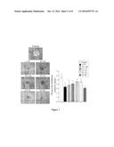 VITAMIN D ANALOGUES OF PHARMACEUTICAL INTEREST diagram and image