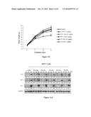 VITAMIN D ANALOGUES OF PHARMACEUTICAL INTEREST diagram and image