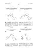 7-AZAINDOLE OR 4,7-DIAZAINDOLE DERIVATIVES AS IKK EPSILON AND TBK1     INHIBITOR AND PHARMACEUTICAL COMPOSITION COMPRISING SAME diagram and image