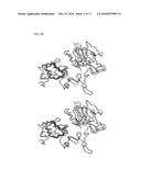 NEUREGULIN VARIANTS AND METHODS OF SCREENING AND USING THEREOF diagram and image