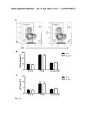 IDENTIFICATION OF A NOVEL B CELL CYTOKINE diagram and image