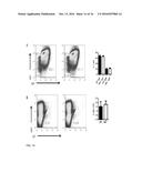 IDENTIFICATION OF A NOVEL B CELL CYTOKINE diagram and image