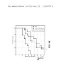 METHODS USING MONOVALENT ANTIGEN BINDING CONSTRUCTS TARGETING HER2 diagram and image