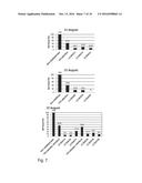 STABILIZATION OF FERMENTED BEVERAGES diagram and image