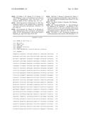 CONSTRUCTION OF NEW VARIANTS OF DEXTRANSUCRASE DSR-S BY GENETIC     ENGINEERING diagram and image