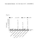 PERMANENT GENE CORRECTION BY MEANS OF NUCLEOTIDE-MODIFIED MESSENGER RNA diagram and image