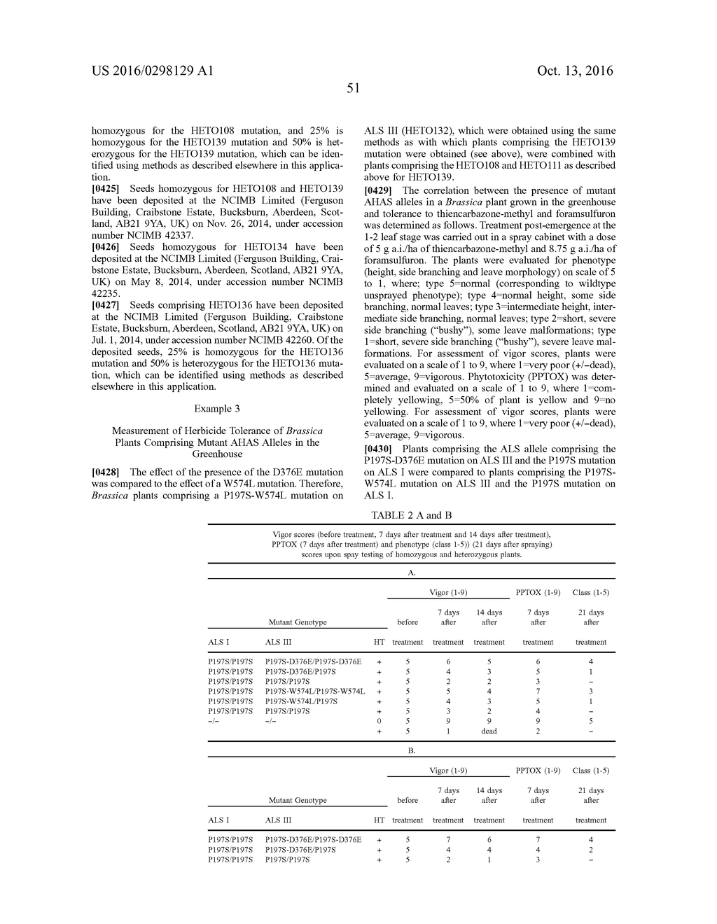 ALS INHIBITOR HERBICIDE TOLERANT MUTANT PLANTS - diagram, schematic, and image 60