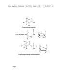 PRODUCTION OF ALKENES FROM 3-HYDROXYCARBOXYLIC ACIDS VIA     3-HYDROXYCARBOXYL-NUCLEOTIDYLIC ACIDS diagram and image