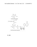 PRODUCTION OF ALKENES FROM 3-HYDROXYCARBOXYLIC ACIDS VIA     3-HYDROXYCARBOXYL-NUCLEOTIDYLIC ACIDS diagram and image