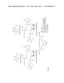 PRODUCTION OF ALKENES FROM 3-HYDROXYCARBOXYLIC ACIDS VIA     3-HYDROXYCARBOXYL-NUCLEOTIDYLIC ACIDS diagram and image