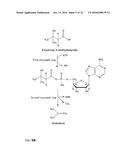 PRODUCTION OF ALKENES FROM 3-HYDROXYCARBOXYLIC ACIDS VIA     3-HYDROXYCARBOXYL-NUCLEOTIDYLIC ACIDS diagram and image