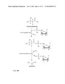 PRODUCTION OF ALKENES FROM 3-HYDROXYCARBOXYLIC ACIDS VIA     3-HYDROXYCARBOXYL-NUCLEOTIDYLIC ACIDS diagram and image