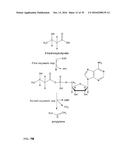 PRODUCTION OF ALKENES FROM 3-HYDROXYCARBOXYLIC ACIDS VIA     3-HYDROXYCARBOXYL-NUCLEOTIDYLIC ACIDS diagram and image